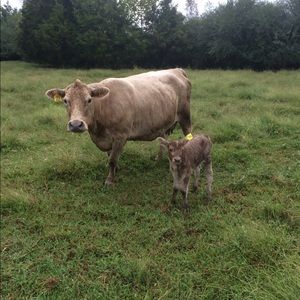 Meet your Posher, Billy